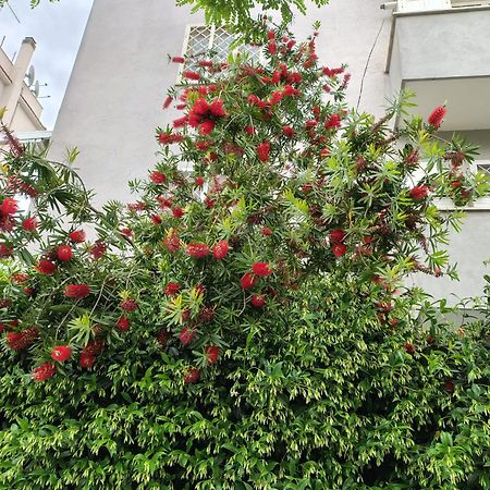 Il Pozzo Apartment Rome Exterior photo
