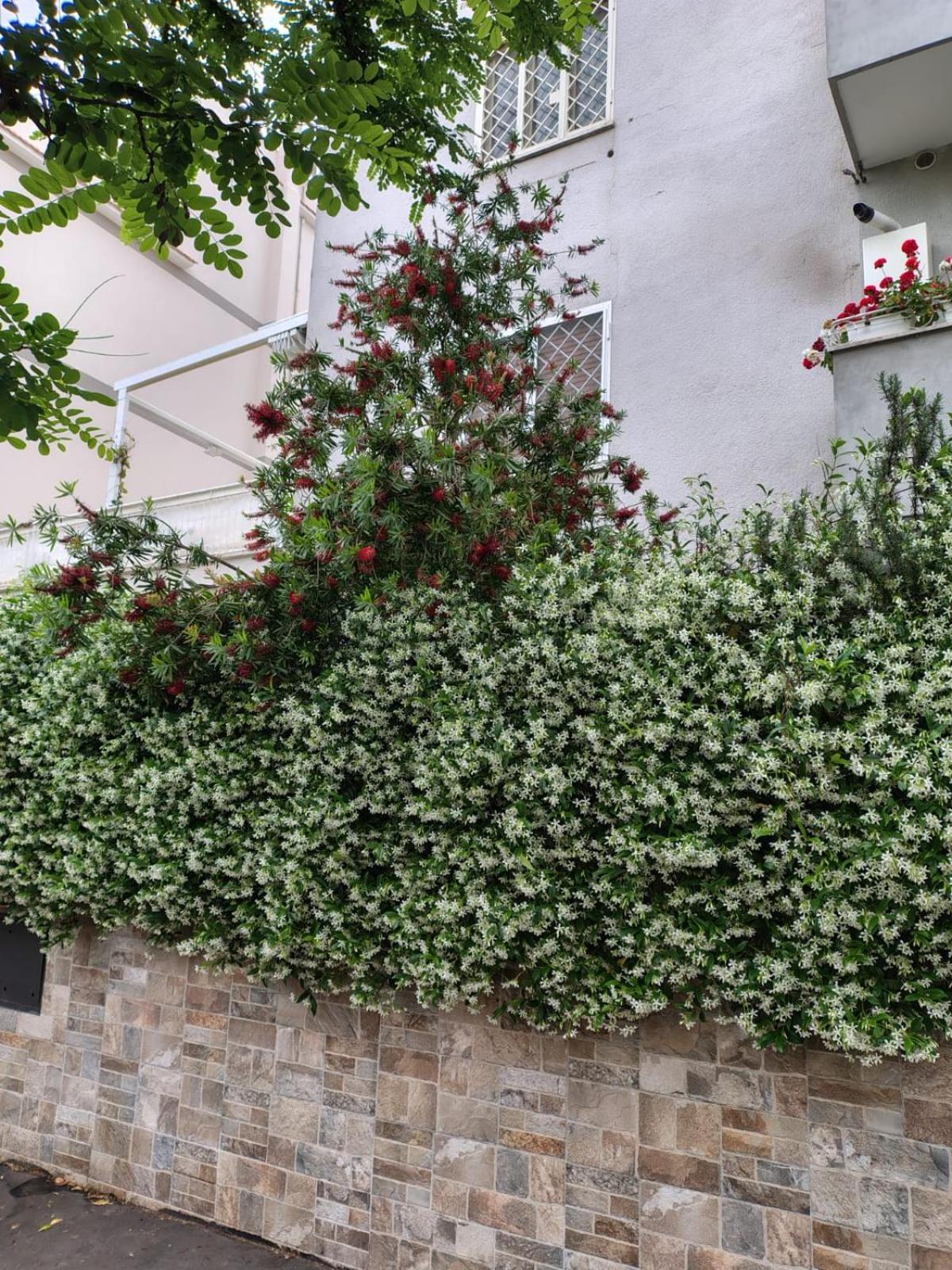 Il Pozzo Apartment Rome Exterior photo